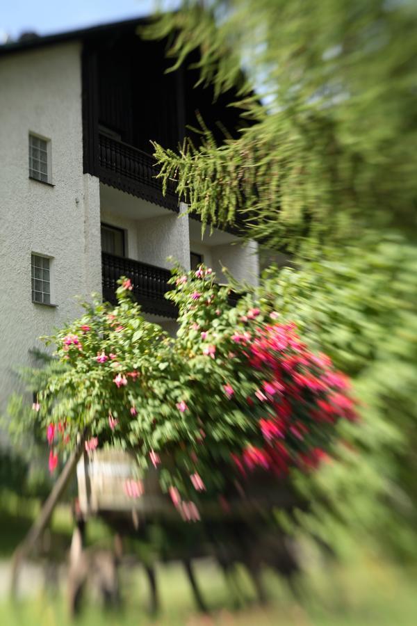 Landhaus Am Forst - Apartments Bad Alexandersbad Exterior foto
